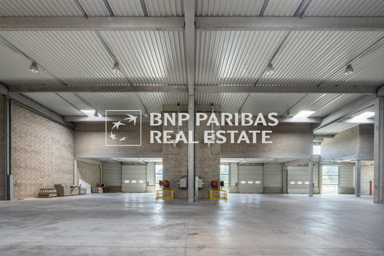 Local d'activité Élancourt 534m² Location local d'activité Élancourt Yvelines OLACT2318123 4